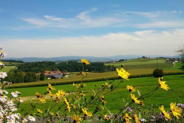 Ferienwohnung Im Bayerischen Wald Tittling Exteriér fotografie